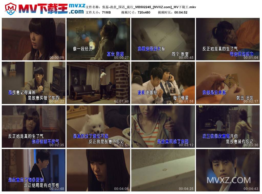 张磊-故意_国语_流行_MB502245